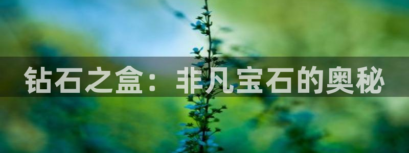 开丰娱乐：钻石之盒：非凡宝石的奥秘