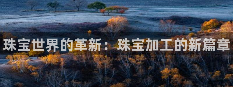 开丰娱乐 赢咖一：珠宝世界的革新：珠宝加工的新篇章