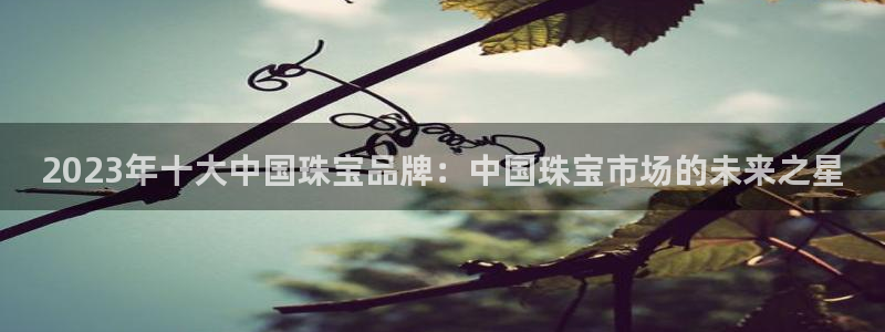 开丰娱乐若七九九：2023年十大中国珠宝品牌：中国珠宝市场的未来之星