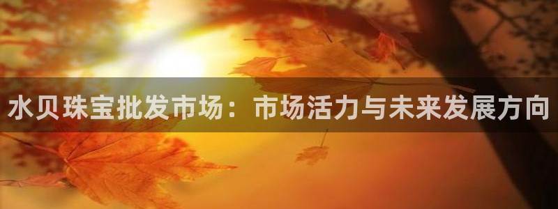 开丰娱乐登入地址：水贝珠宝批发市场：市场活力与未来发展方向