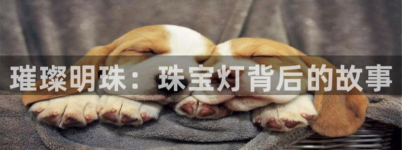 开丰娱乐平台地址查询：璀璨明珠：珠宝灯背后的故事