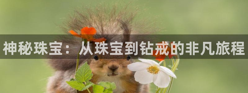 开丰娱乐67 5138：神秘珠宝：从珠宝到钻戒的非凡旅程