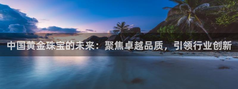 开丰娱乐官网：中国黄金珠宝的未来：聚焦卓越品质，引领行业创新