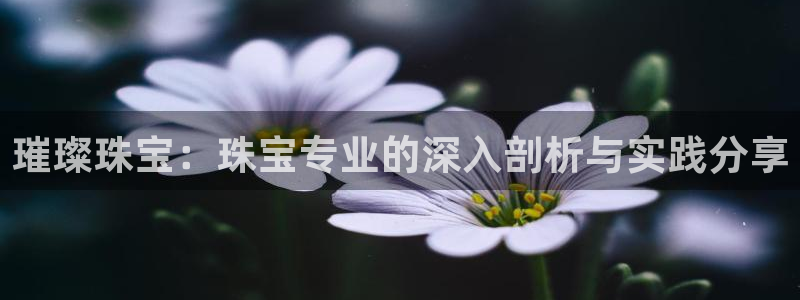 开丰娱乐注册登录不了：璀璨珠宝：珠宝专业的深入剖析与实践分享