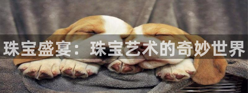 开丰娱乐官网：珠宝盛宴：珠宝艺术的奇妙世界