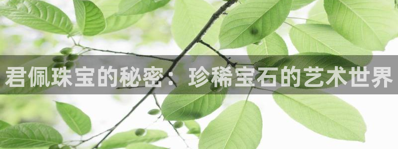 开丰娱乐姜333OO：君佩珠宝的秘密：珍稀宝石的艺术世界