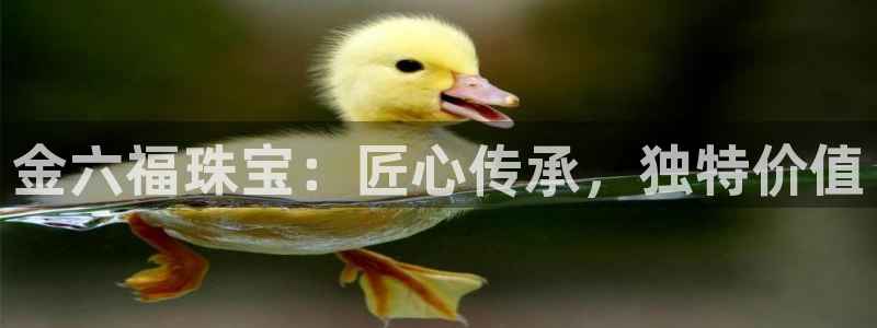 开丰娱乐上：金六福珠宝：匠心传承，独特价值