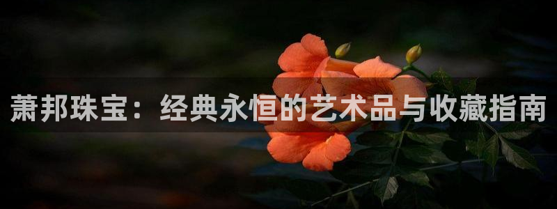 开丰娱乐更多平台：萧邦珠宝：经典永恒的艺术品与收藏指南