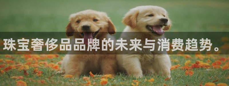 开丰娱乐网站官网入口：珠宝奢侈品品牌的未来与消费趋势。