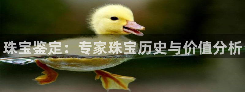 开丰娱乐不开了吗：珠宝鉴定：专家珠宝历史与价值分析