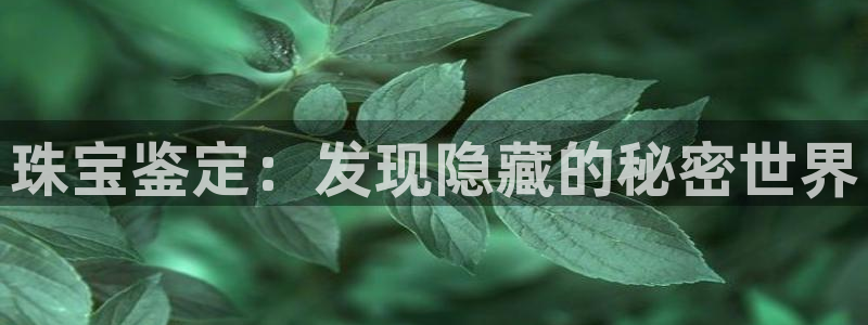 开丰娱乐乙833_43：珠宝鉴定：发现隐藏的秘密世界