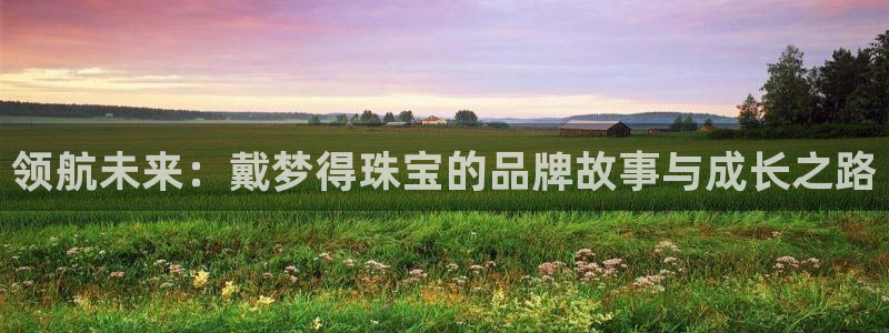 开丰娱乐右7O667：领航未来：戴梦得珠宝的品牌故事与成长之路