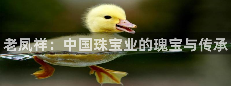 开丰娱乐趣 7O935：老凤祥：中国珠宝业的瑰宝与传承