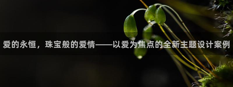 开丰娱乐线路：爱的永恒，珠宝般的爱情——以爱为焦点的全新主题设计案例