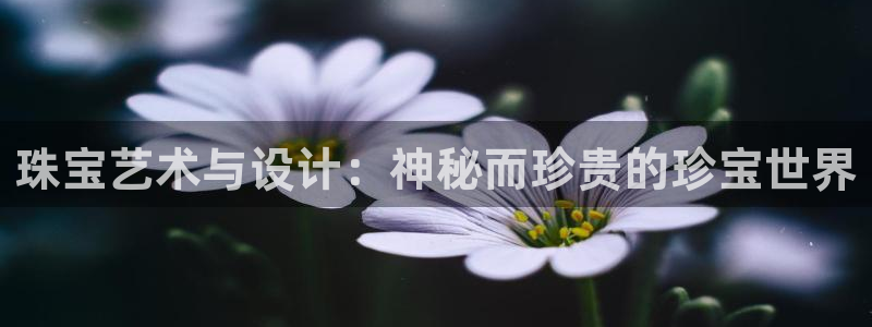 开丰娱乐线路：珠宝艺术与设计：神秘而珍贵的珍宝世界