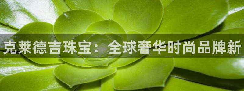 开丰娱乐寸67五壹叁八：克莱德吉珠宝：全球奢华时尚品牌新