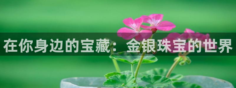 开丰娱乐登陆地址：在你身边的宝藏：金银珠宝的世界
