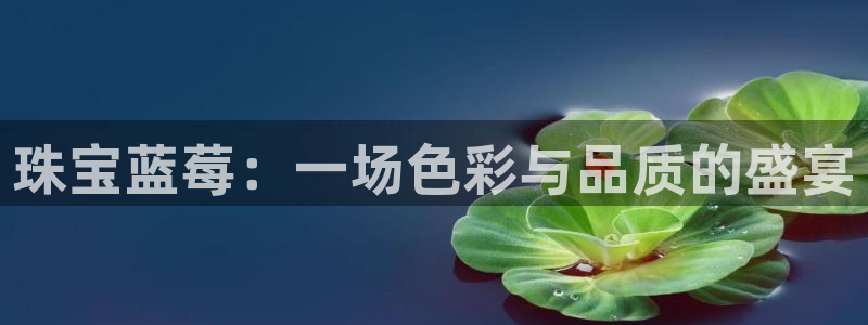 开丰娱乐登入：珠宝蓝莓：一场色彩与品质的盛宴