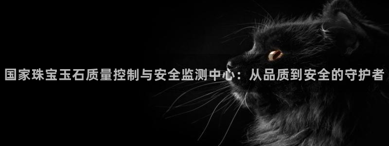 开丰娱乐左：国家珠宝玉石质量控制与安全监测中心：从品质到安全的守护者