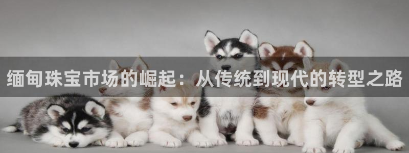 开丰娱乐登陆地址：缅甸珠宝市场的崛起：从传统到现代的转型之路