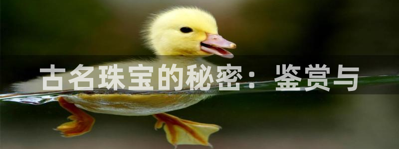 下载开丰娱乐：古名珠宝的秘密：鉴赏与