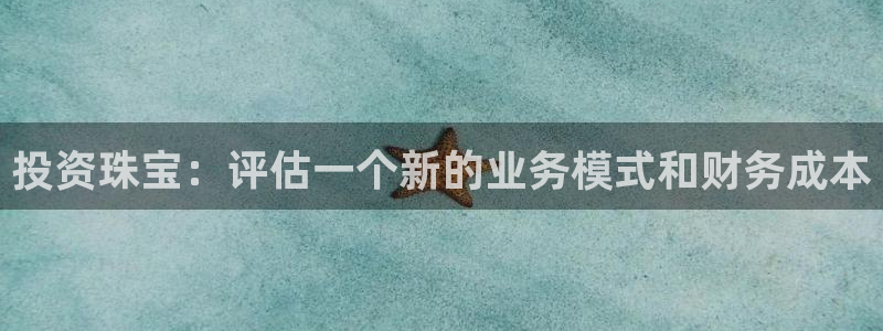 开丰娱乐千67五壹叁八：投资珠宝：评估一个新的业务模式和财务成本
