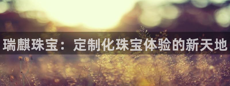 圩丰刚开的娱乐场所：瑞麒珠宝：定制化珠宝体验的新天地