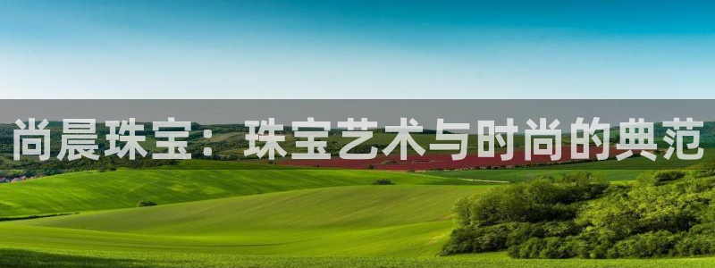 开丰娱乐怎么样：尚晨珠宝：珠宝艺术与时尚的典范