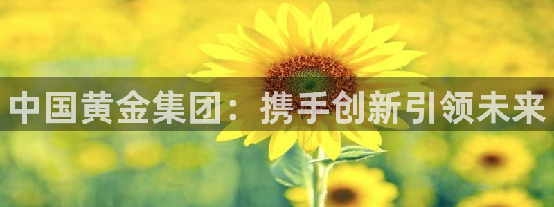 开丰娱乐手机app：中国黄金集团：携手创新引领未来