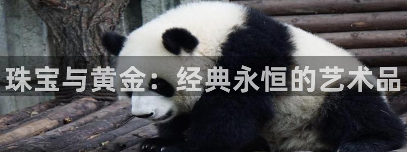 开丰娱乐后：珠宝与黄金：经典永恒的艺术品