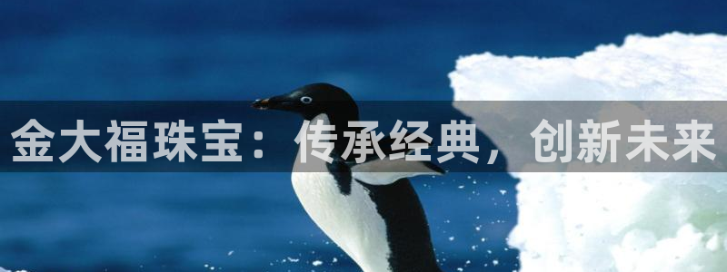 开丰娱乐登入地址在哪查