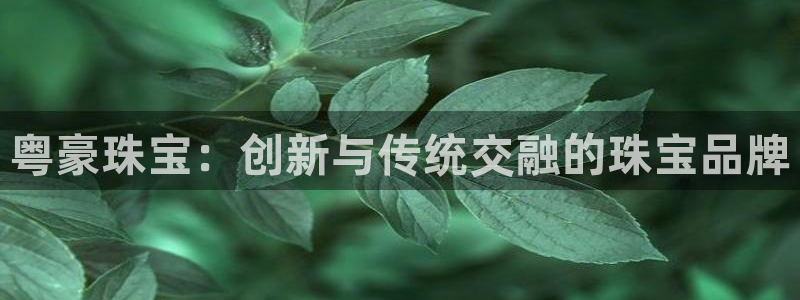 开丰娱乐不开了吗：粤豪珠宝：创新与传统交融的珠宝品牌