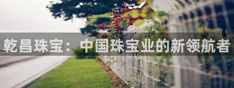开丰娱乐千67五壹叁八：乾昌珠宝：中国珠宝业的新领航者