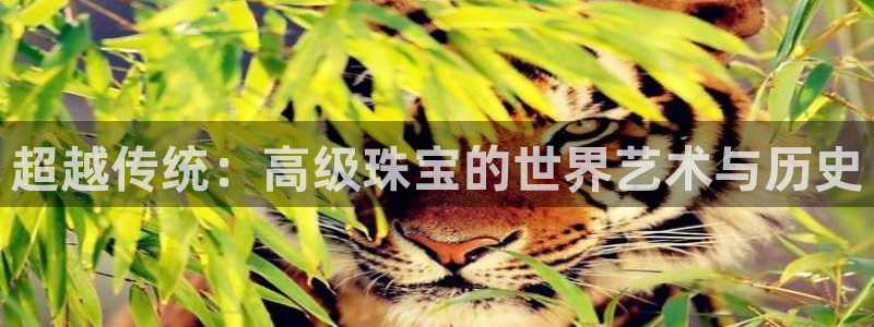 开丰娱乐官方app：超越传统：高级珠宝的世界艺术与历史