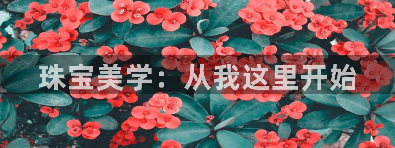 开丰娱乐网站官网：珠宝美学：从我这里开始