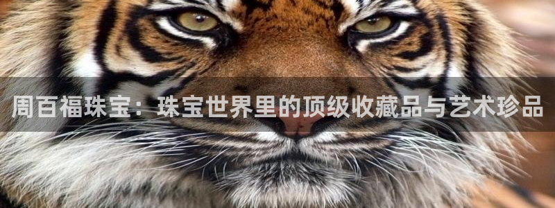 开丰娱乐官网招聘：周百福珠宝：珠宝世界里的顶级收藏品与艺术珍品