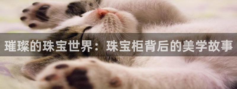 开丰娱乐登录网址：璀璨的珠宝世界：珠宝柜背后的美学故事