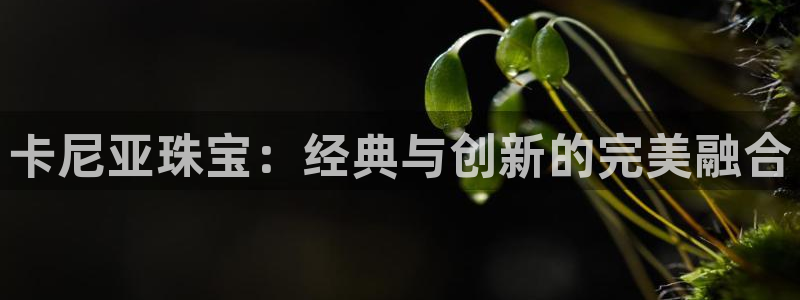 开丰娱乐平台地址：卡尼亚珠宝：经典与创新的完美融合