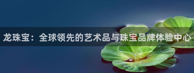 开丰娱乐登录：龙珠宝：全球领先的艺术品与珠宝品牌体验中心